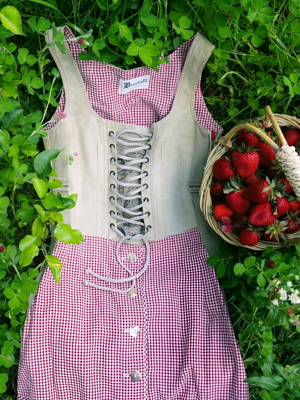 Vintage Beige and Red Gingham Women's Dirndl Dress, Cottagecore, Oktoberfest